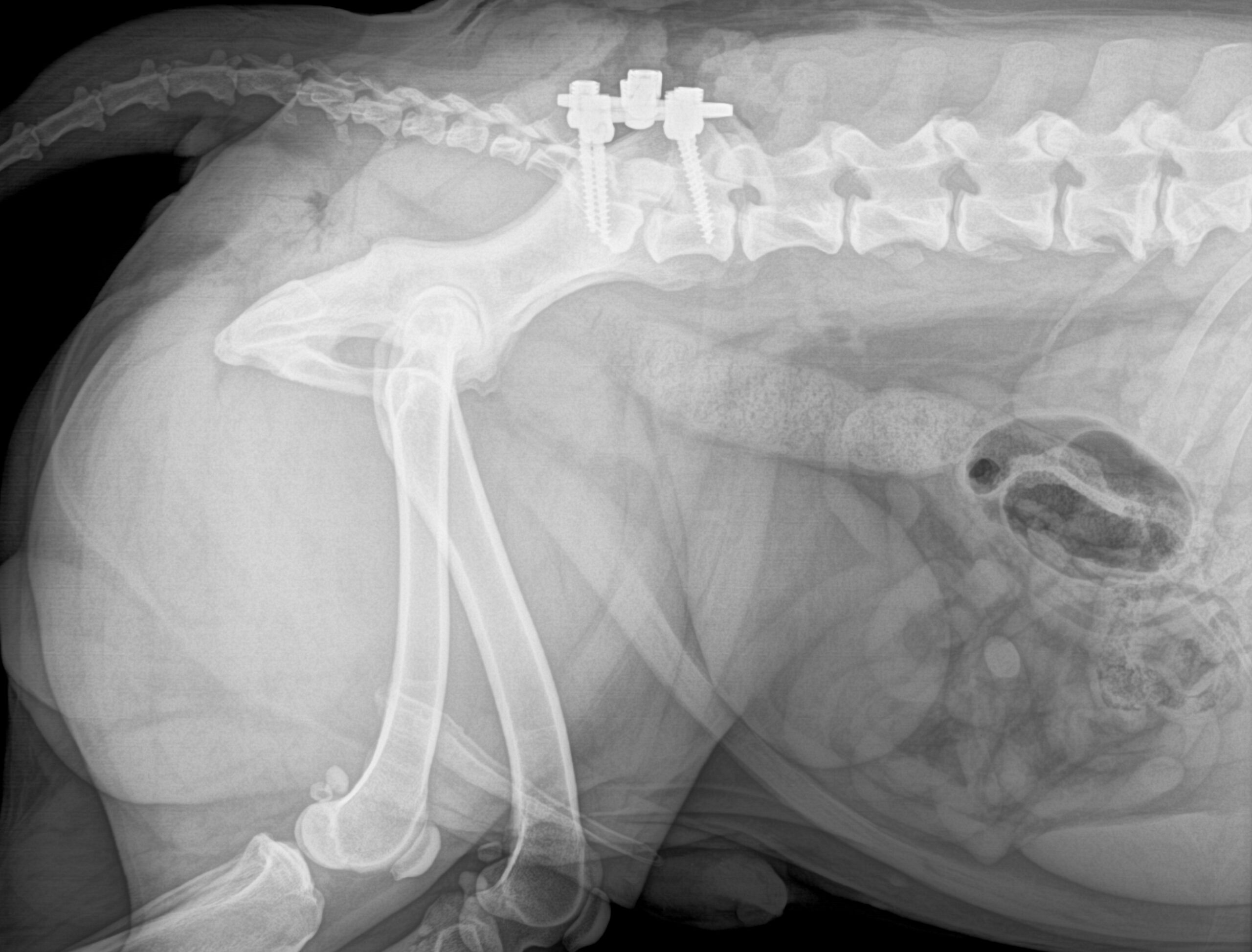 https://franciszekwet.com/wp-content/uploads/2025/06/zdjecie-neurochirurgia-1-1-scaled.jpg